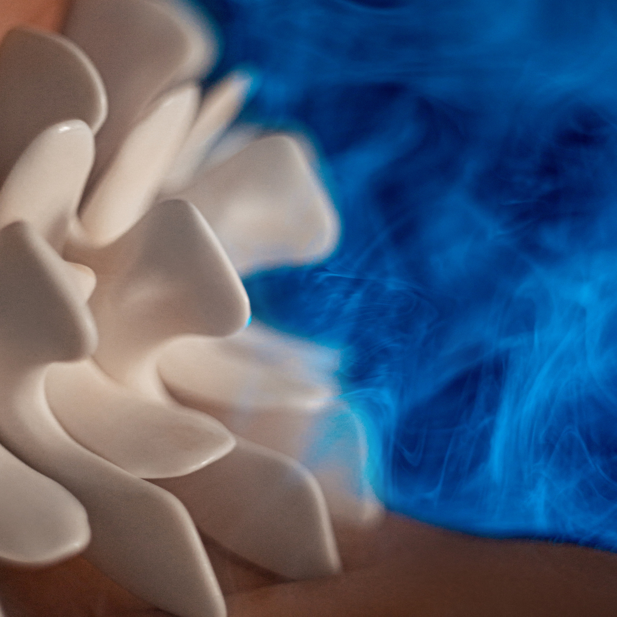 Творческие проекты. Свадебный фотограф в Москве Аля Загирова