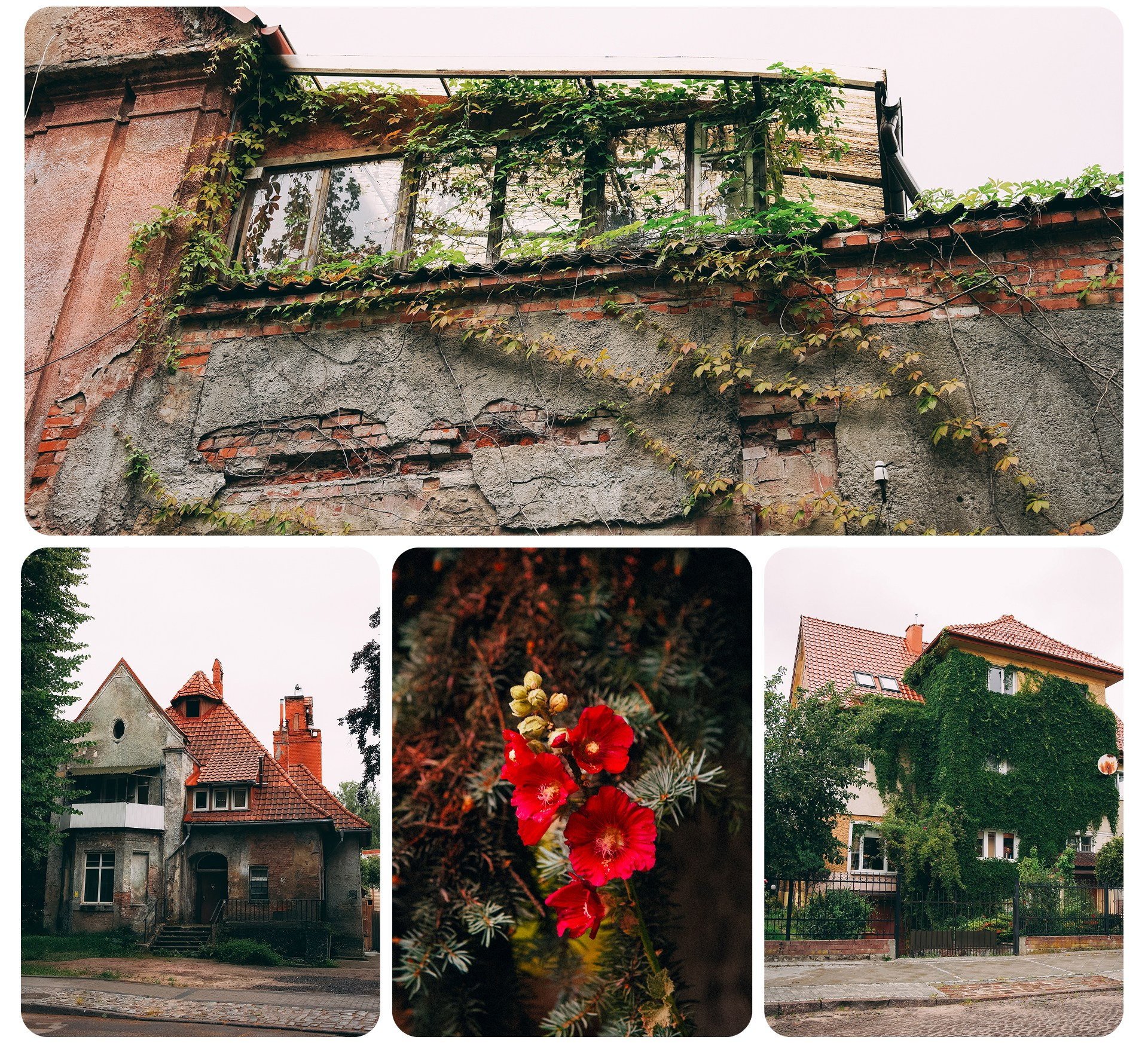 Калининград 1. Фотограф из Москвы — DASHA NOVA | Авторская фотография в разных жанрах