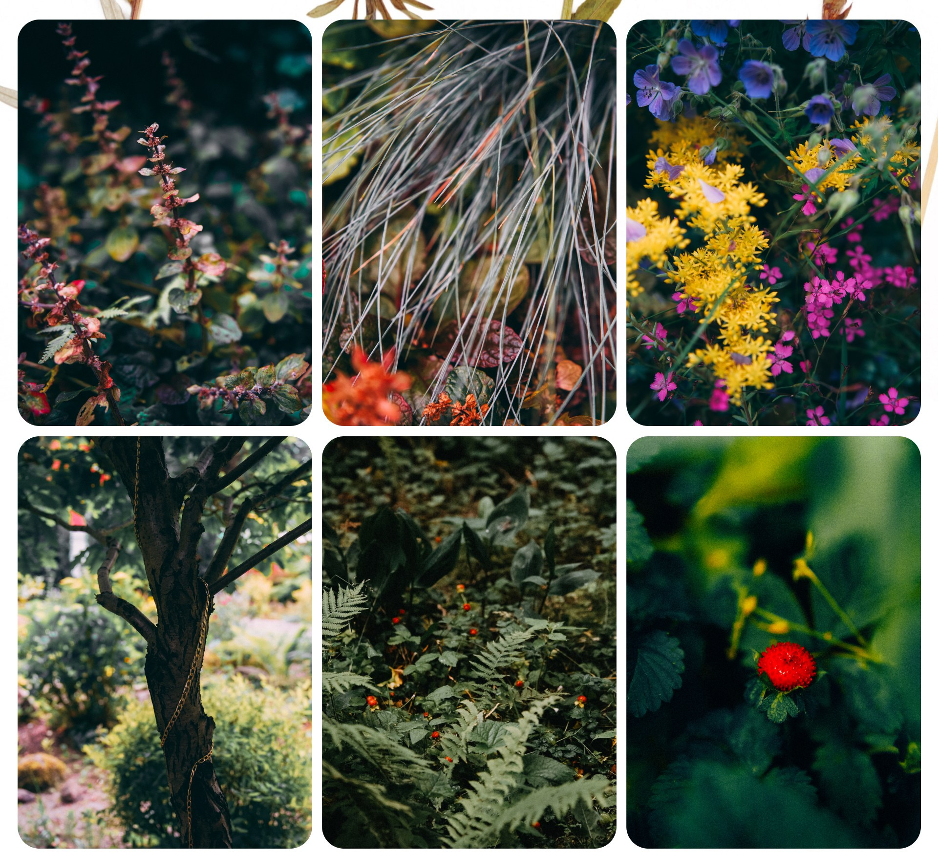 Калининград 3. Фотограф из Москвы — DASHA NOVA | Авторская фотография в разных жанрах