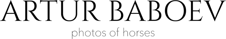 artur.baboev.com