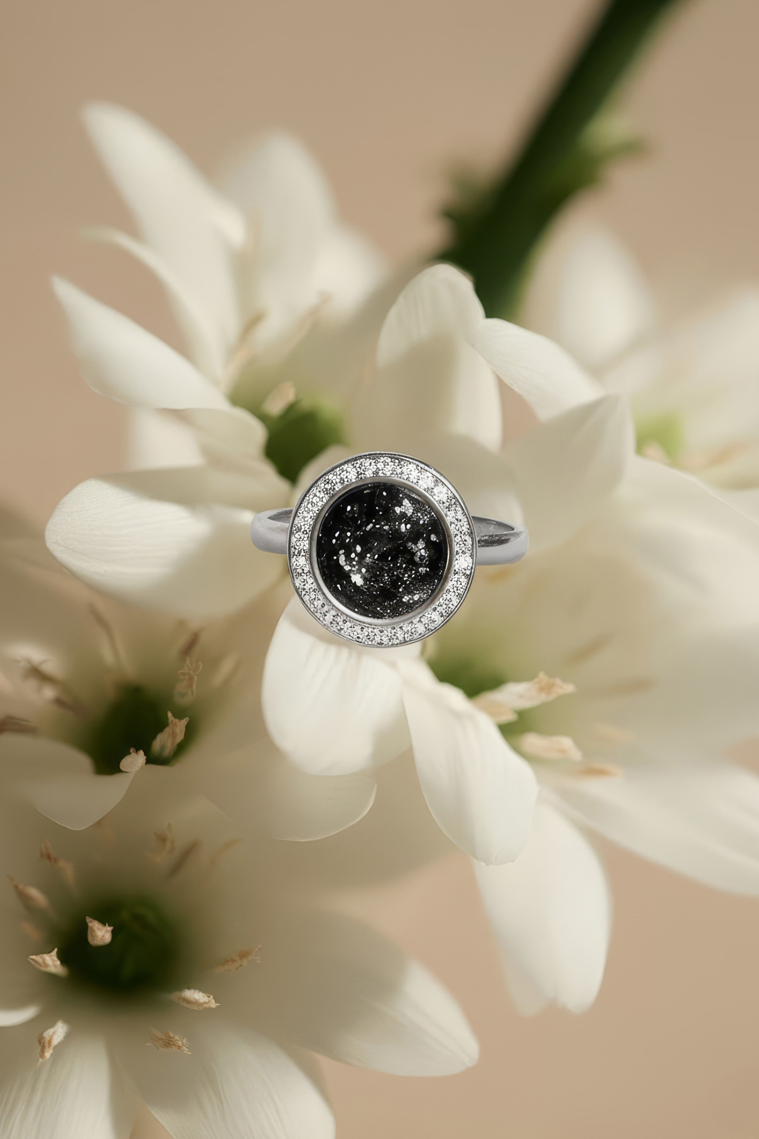 Услуги и цены. Регина Зебра — AI-дизайнер и креатор | Авторский контент для брендов и персон