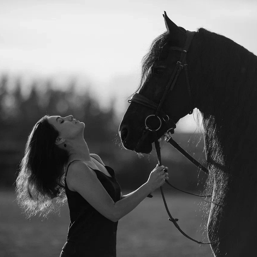 Стоимость фотосессии на лошадях в Москве и Московской области. Фотосессии с лошадьми в Москве от Конный фотографа Кутейниковой Светланы