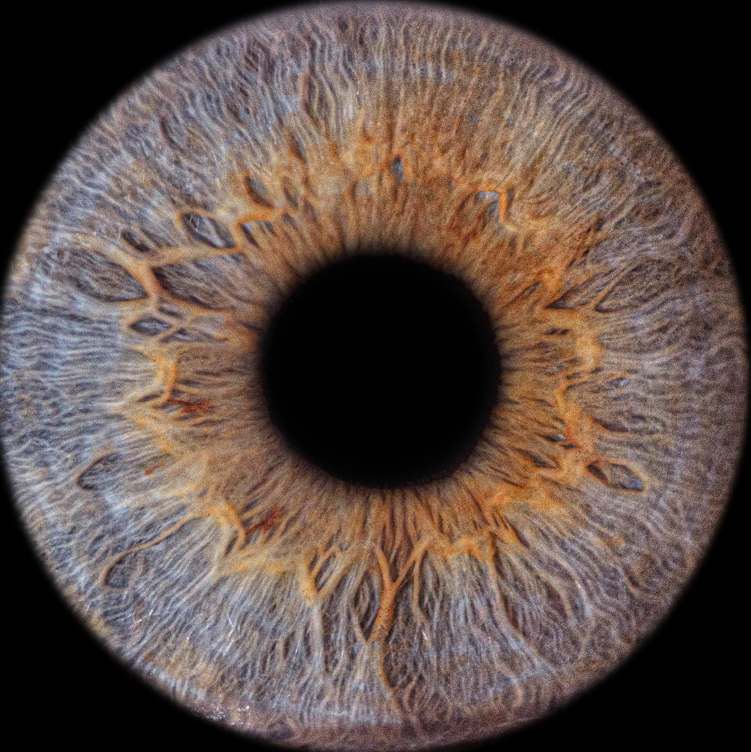 Услуги Анрика Арт. ЛОВОСЫ — студия волос, стрижки окрашивания уходы трихология прикорневой объем