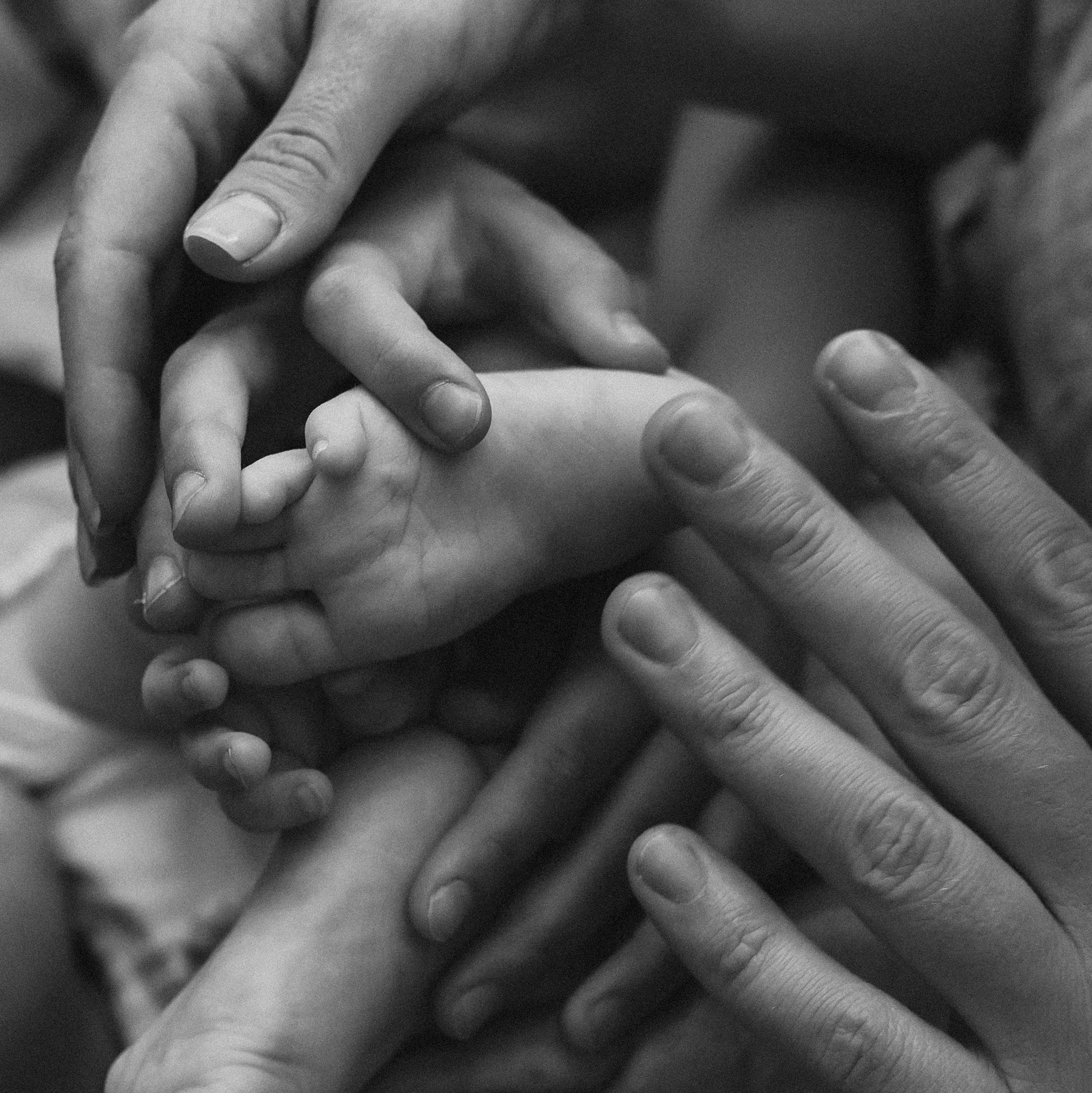 Обучение. Детский и семейный фотограф Татьяна Рыбалко. Фотосессии у вас дома