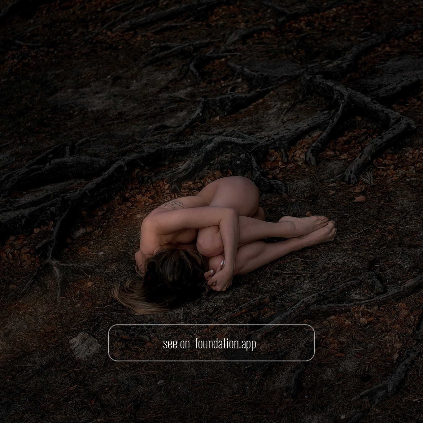 NFT. Фотограф Шувалова Анна