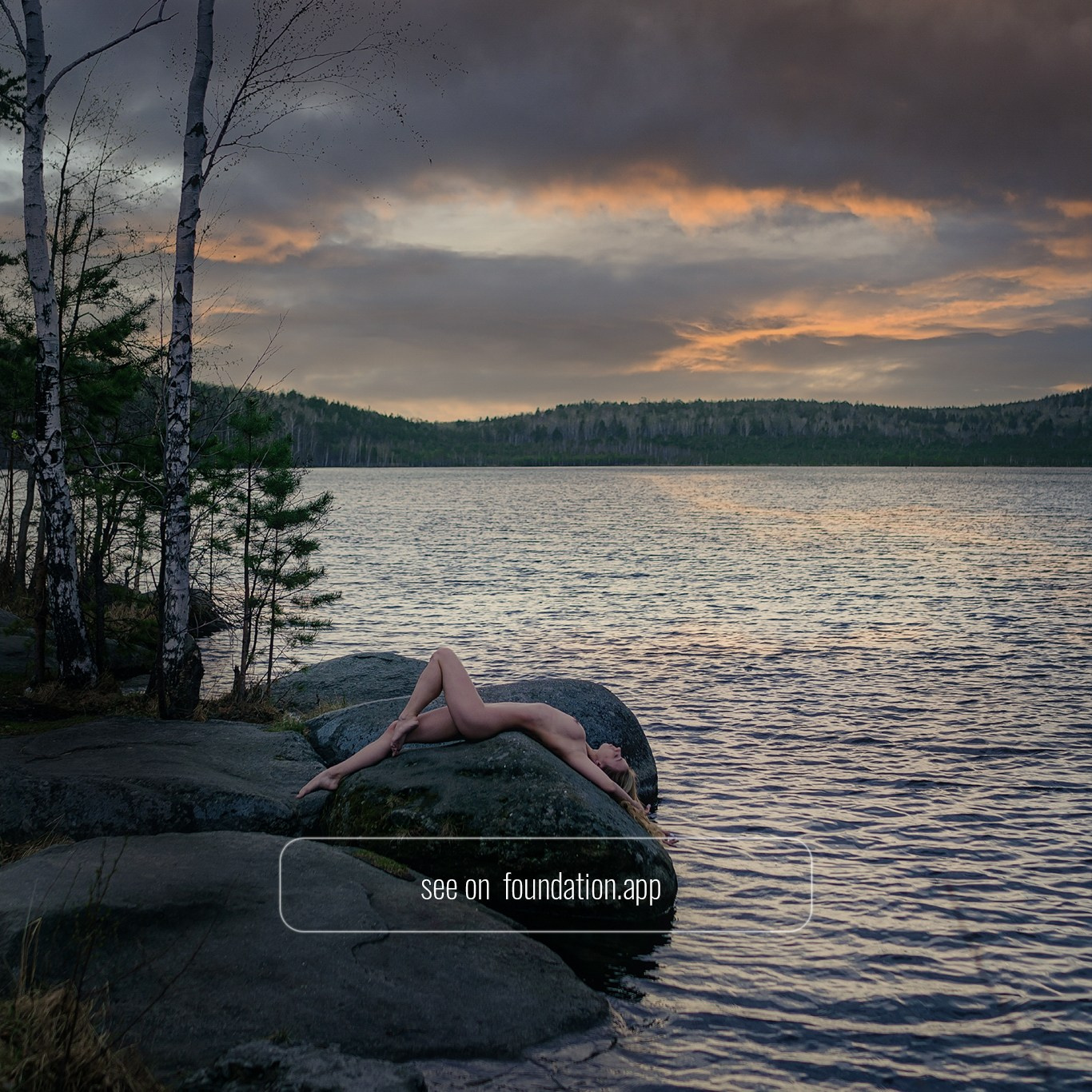 NFT. Фотограф Шувалова Анна