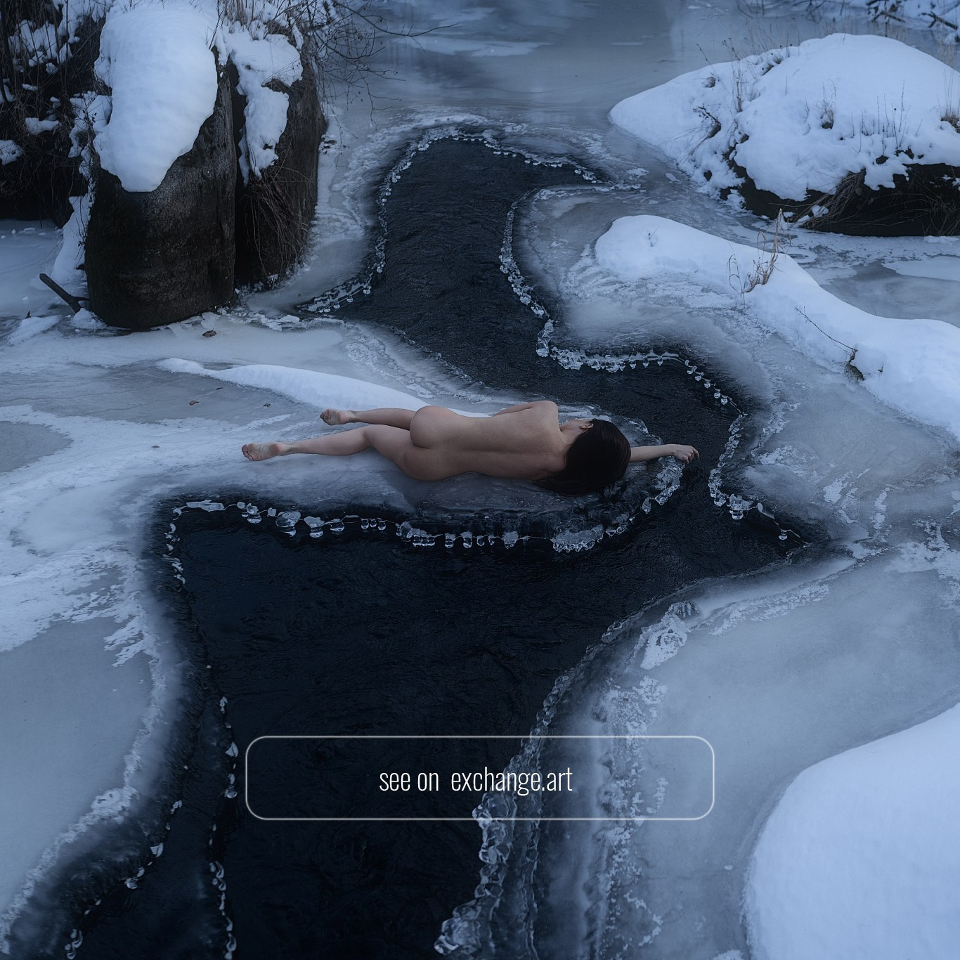 NFT. Фотограф Шувалова Анна