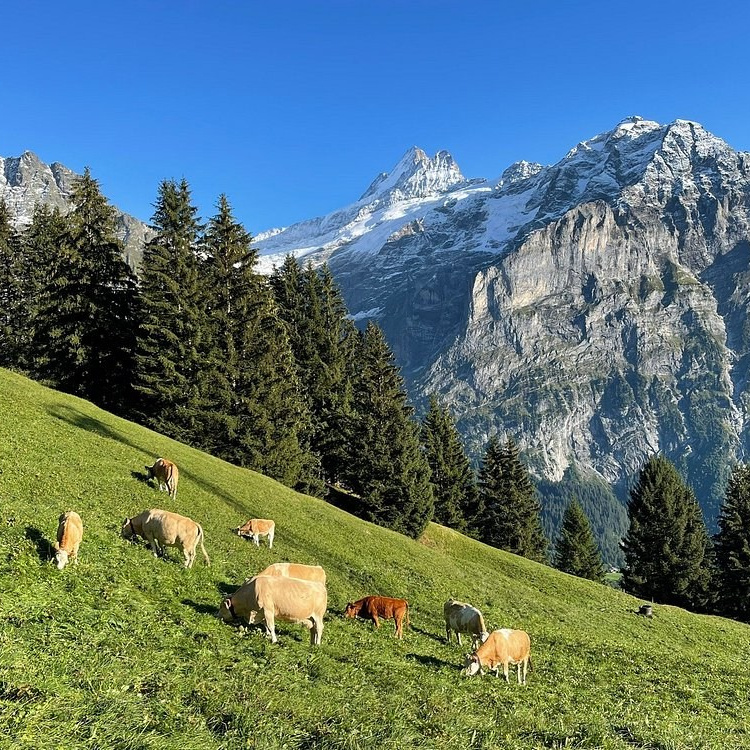 PLACES FOR PHOTOS. Photographer in Interlaken area