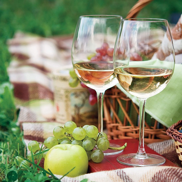 Услуги. Конные прогулки в клубе «Анкор» — Омск