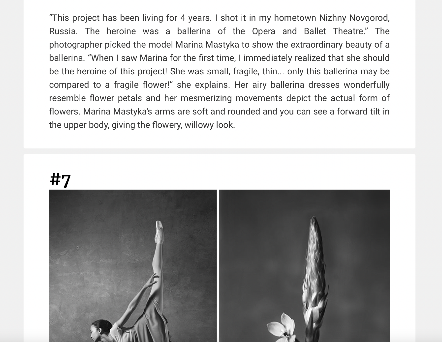 Press — Bored panda