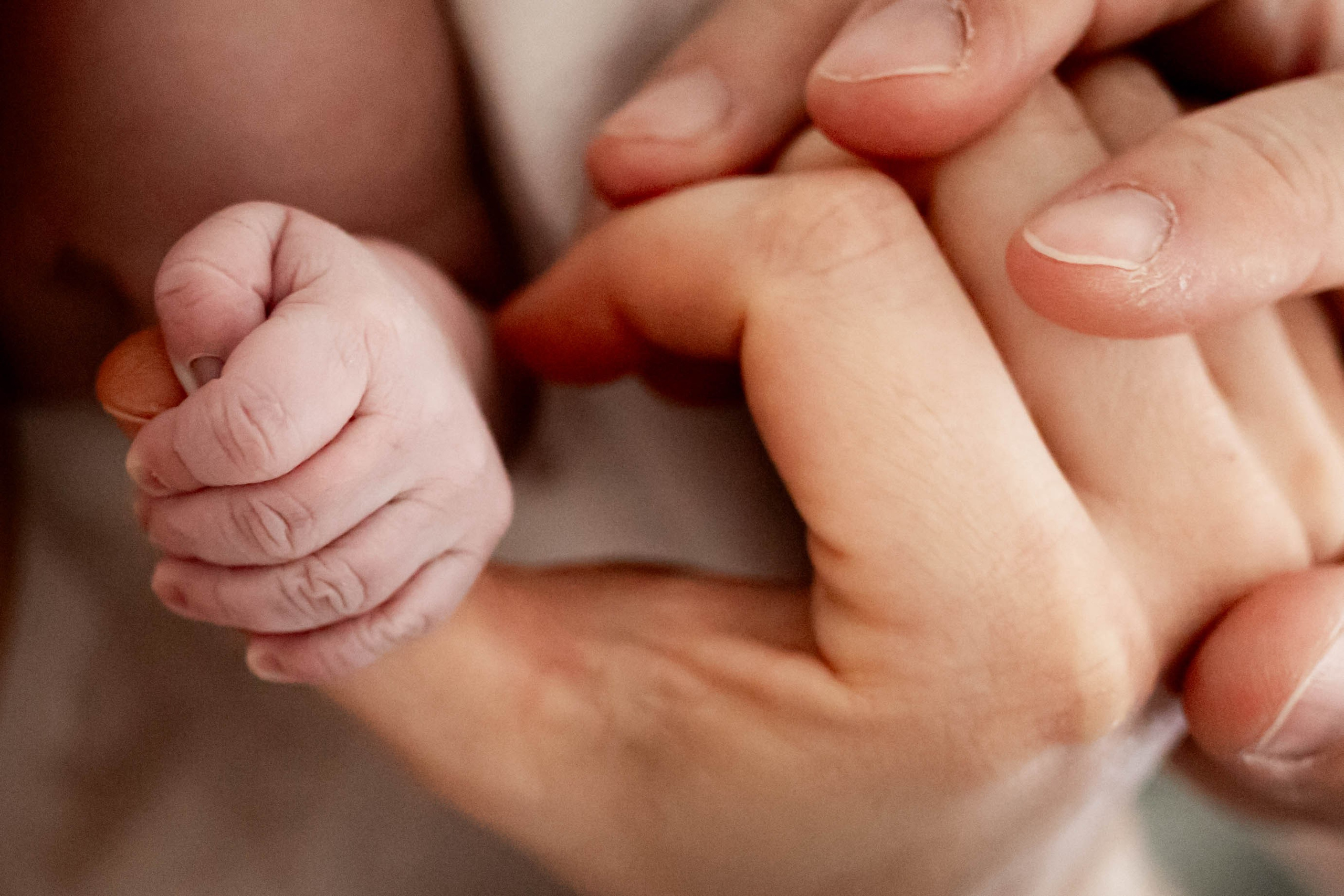 Съёмка родов. Как проходит и какая требуется подготовка?. Анастасия Воропаева — репортажный фотограф СПб на роды, выписки, камерные торжества