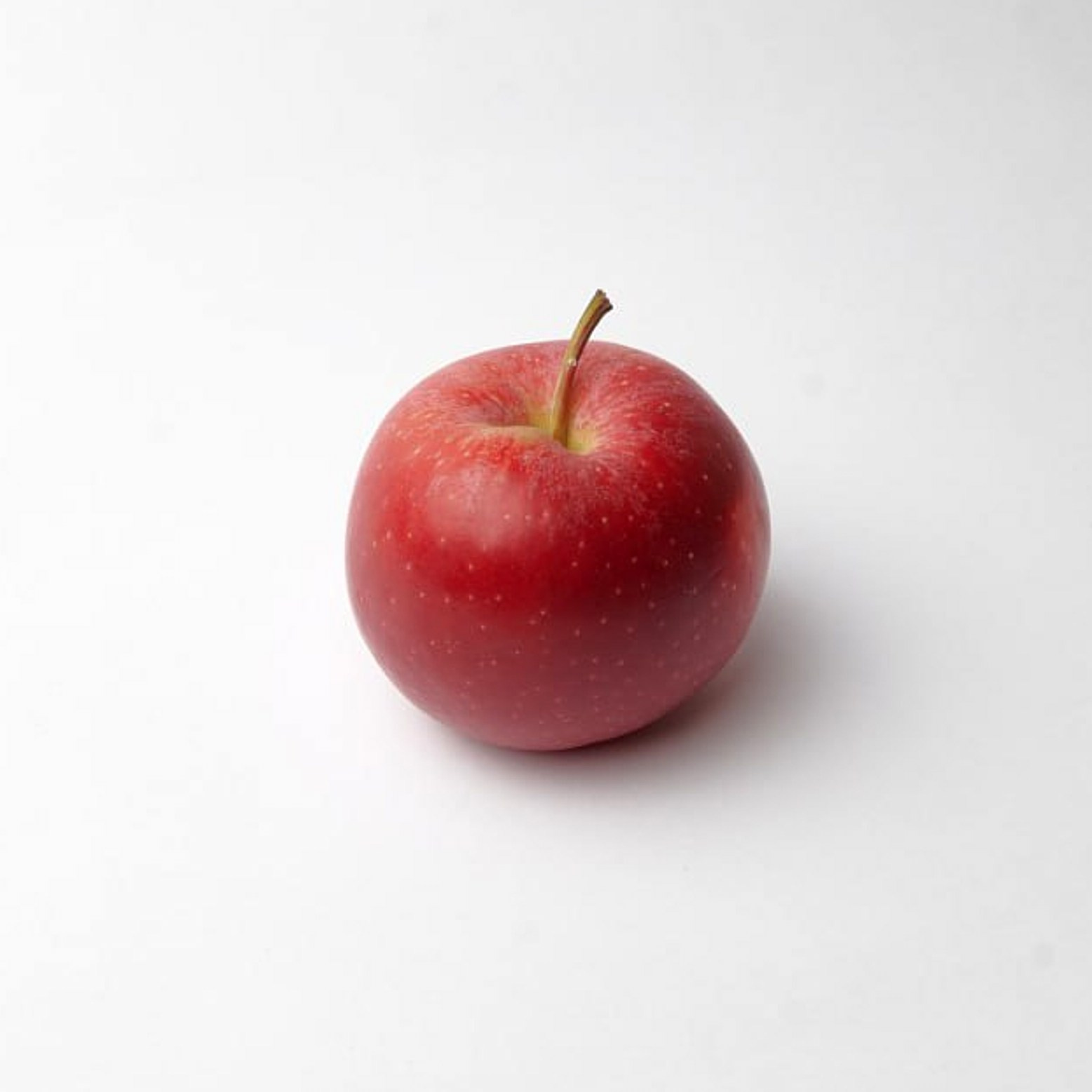 ПРАЙС. Фотограф Дмитрий Пименов