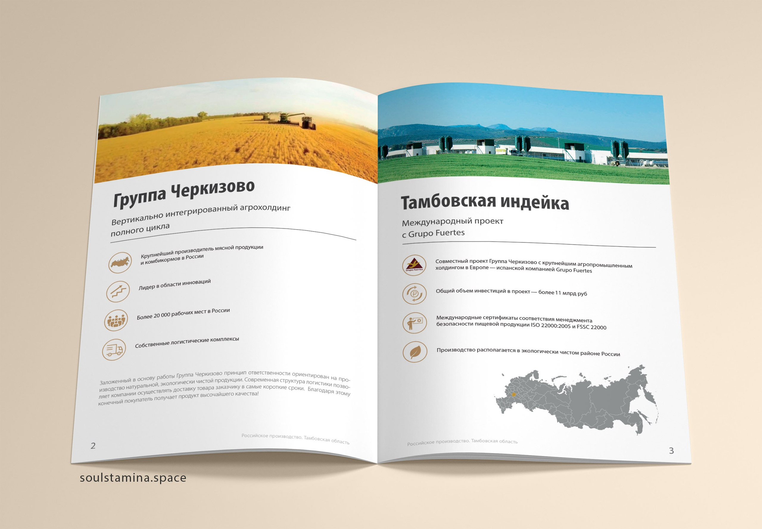 Каталог продукции, бренд «Пава-Пава». Soulstamina ~ graphic designer & visual artist from St.Petersburg