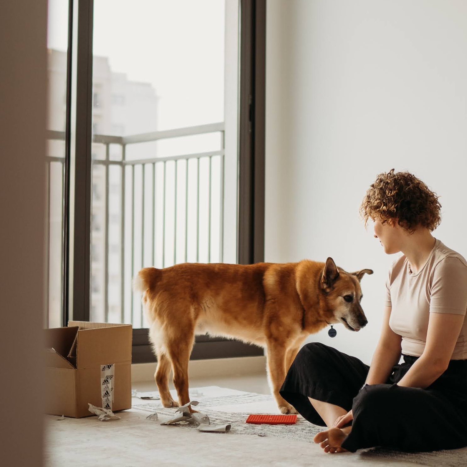 How it works. Photos of you and your pet