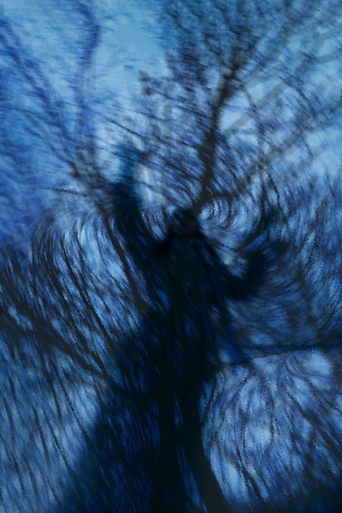 WHEN THE HEAVENS ARE SILENT. EKATERINA SHAFIEVA — INTERNATIONAL VISUAL ARTIST