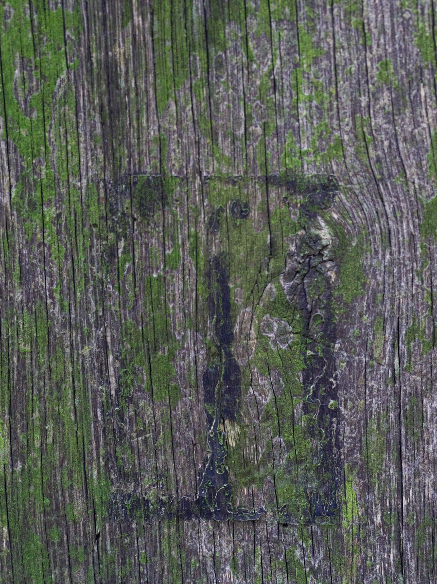 Contact. Ekaterina Shikhanova