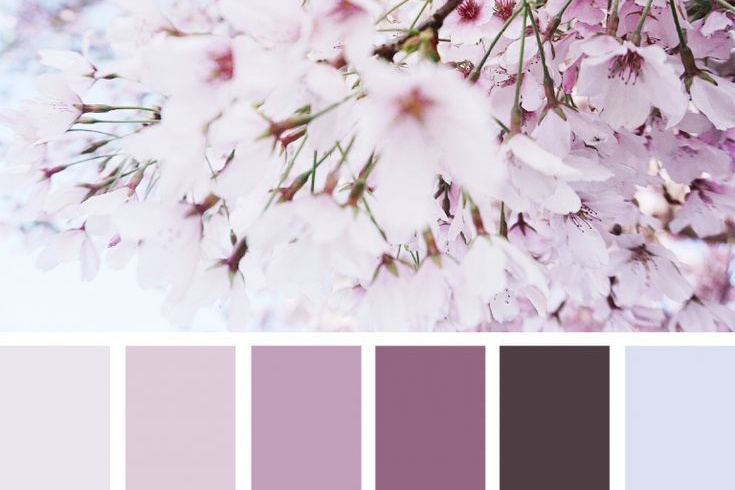 Локации и их цветовые гармонии. Степанова Анна.Детский и семейный фотограф Крым