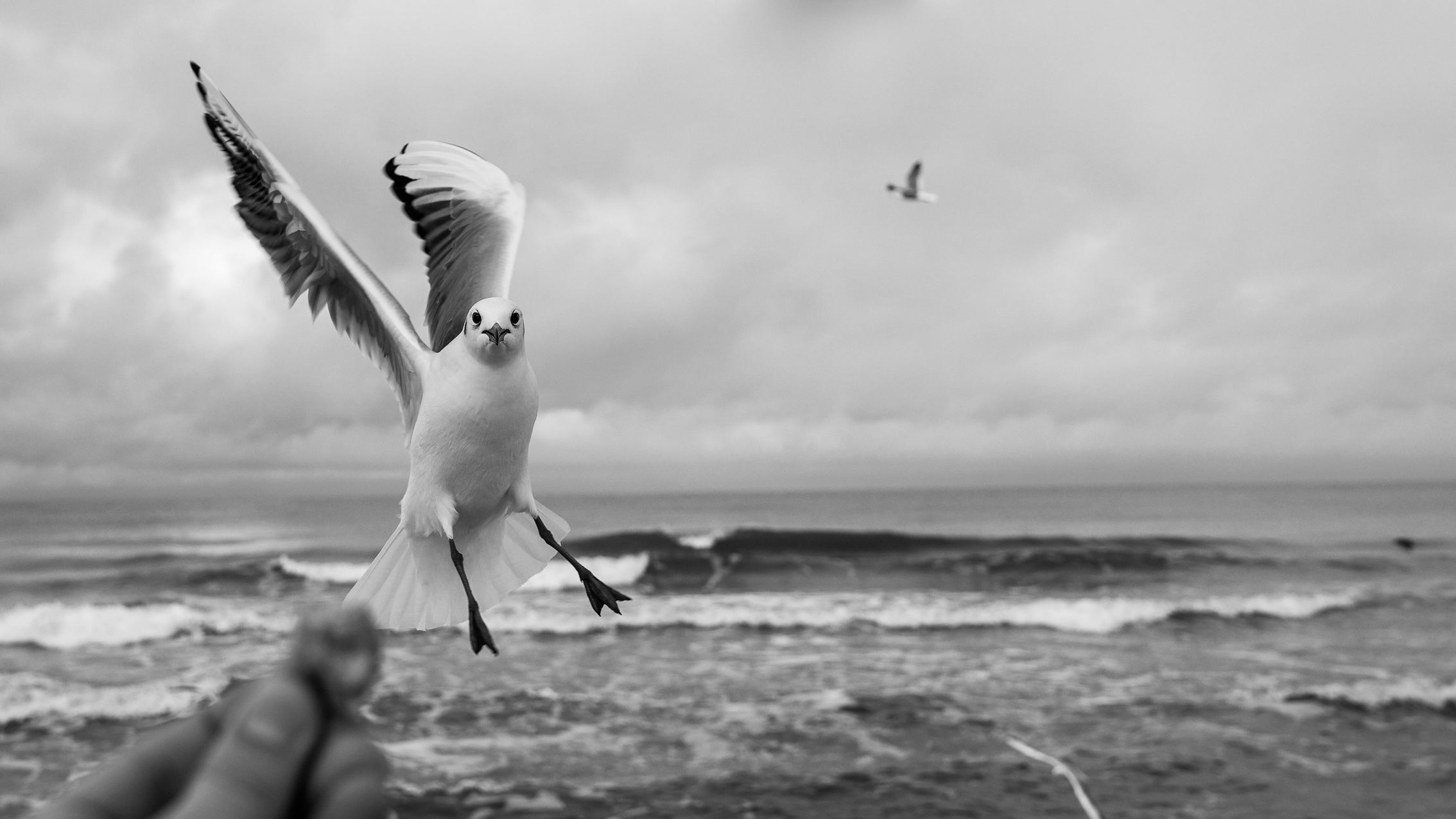 Arseniy Karchevskiy I Photographer