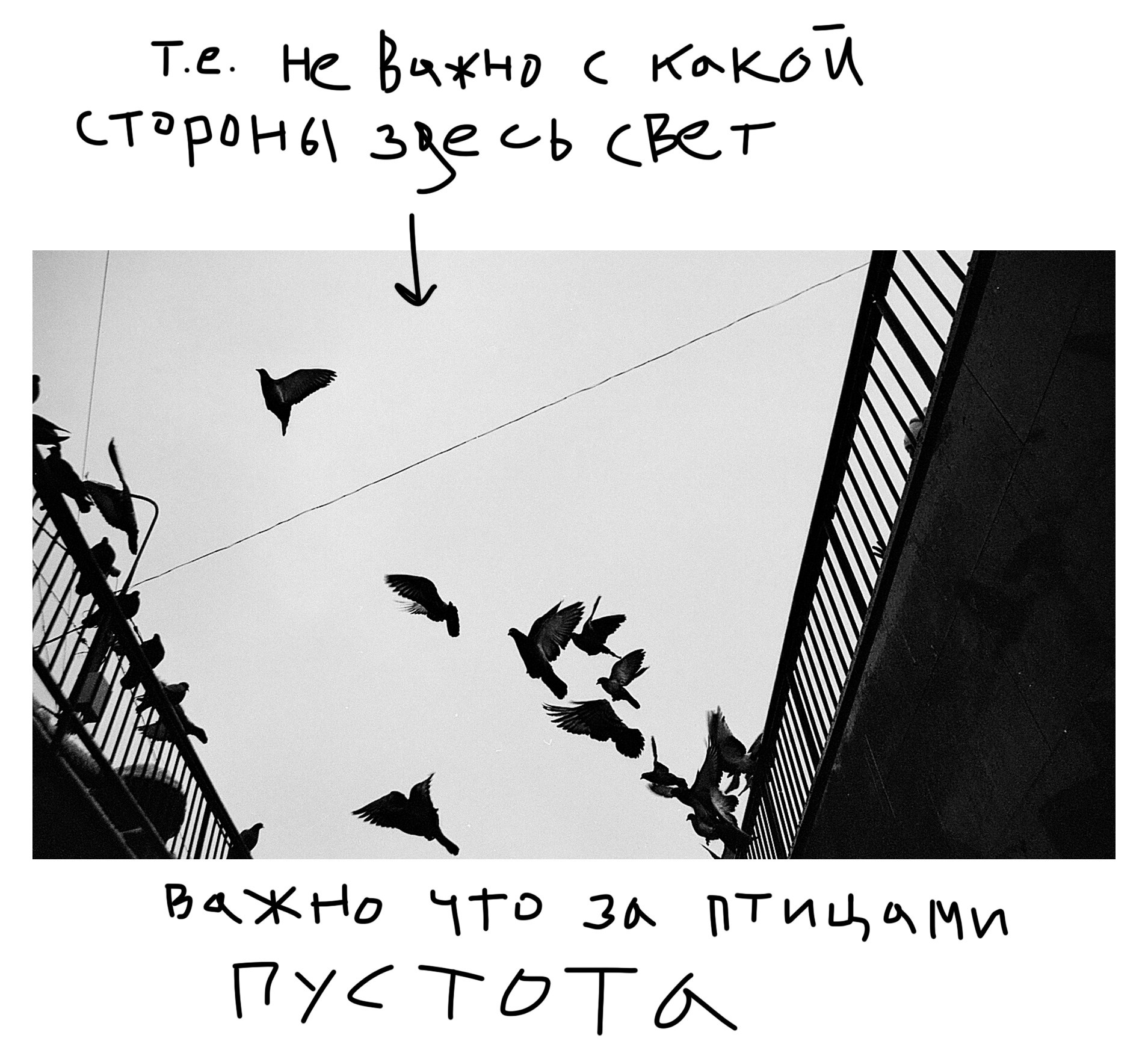 Среда 2. Объект, фон и свет. …