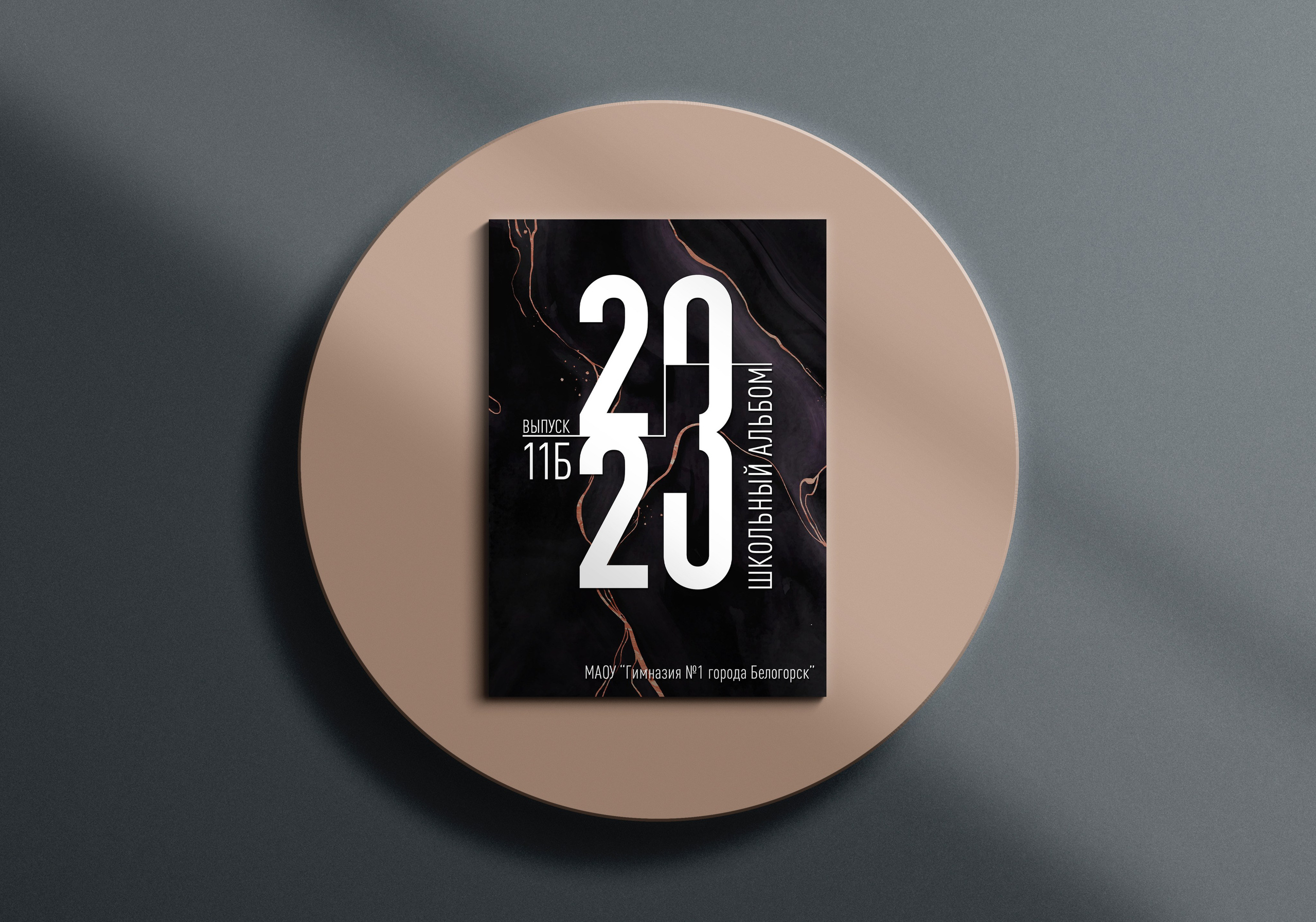 Выпускные альбомы для школьников. Олеся Пучковская фотограф, Белогорск, Амурская область