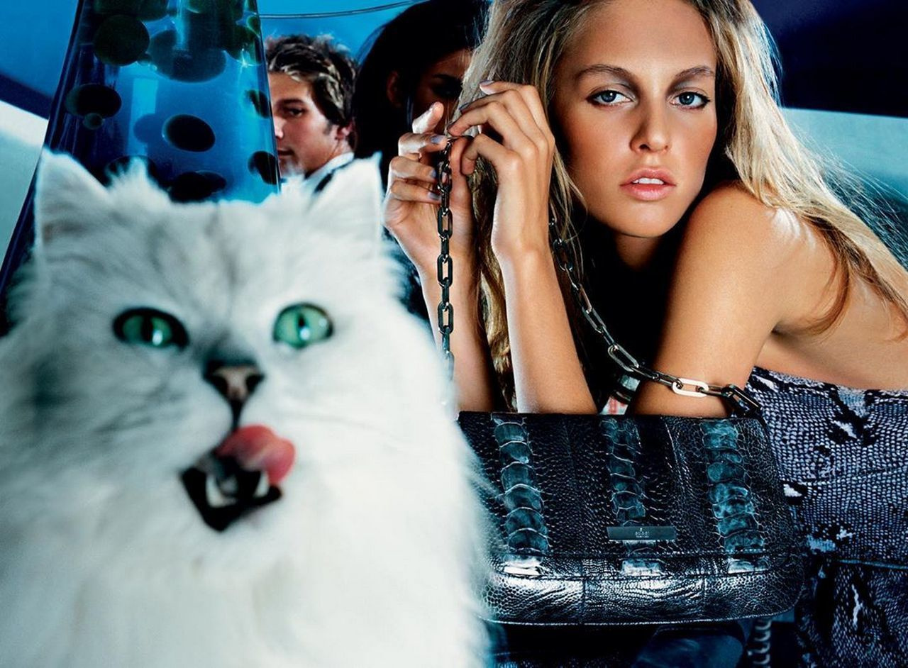 Фотографии знаменитых людей. Выпускные альбомы, фотограф Денис Зимин в городе Ростове-на-Дону