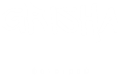 grishamarvinphoto.ru