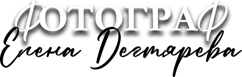 d-lenochka.wfolio.pro