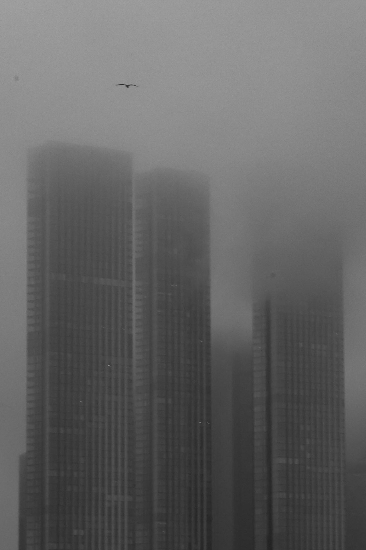 Лена Румянцева — репортажный, детский и семейный фотограф в Москве