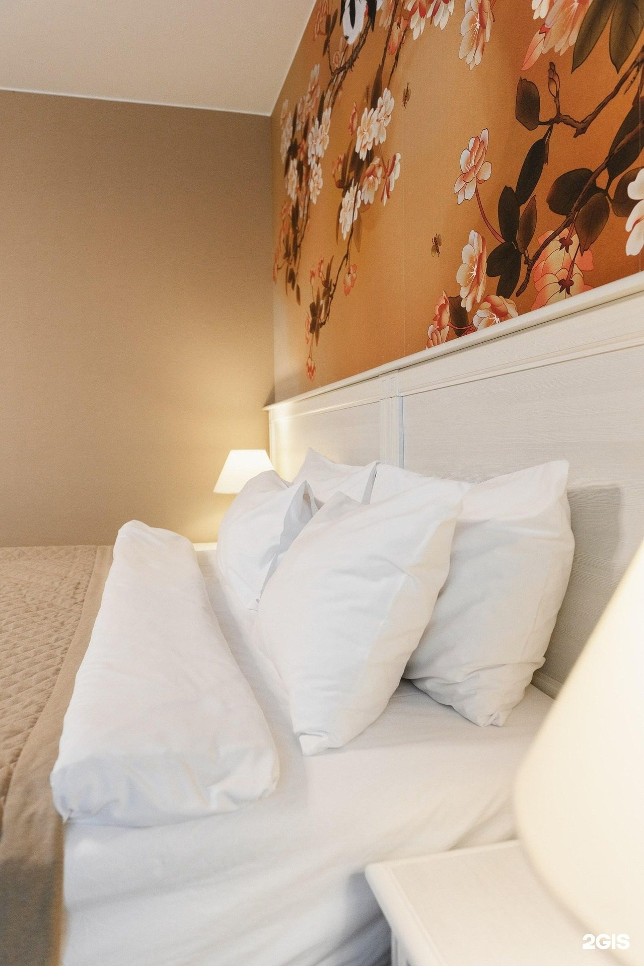 Камчатка с комфортом —  Cезон 2026