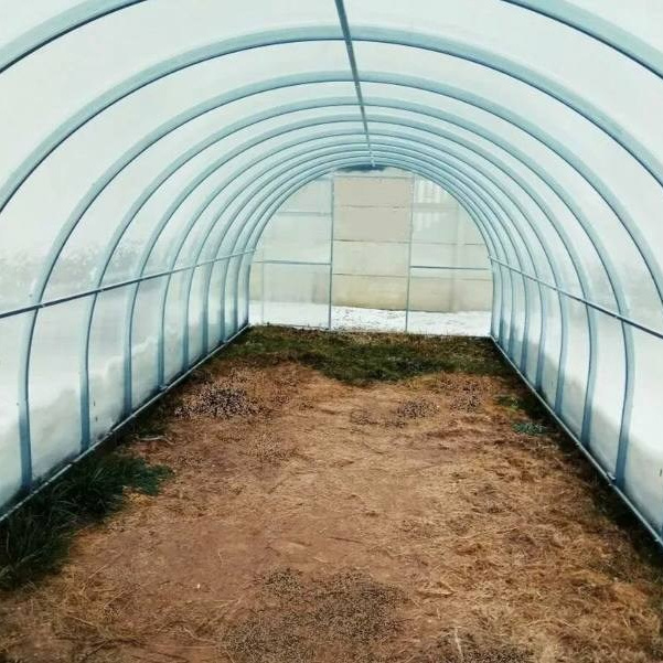 Тепличный квартал