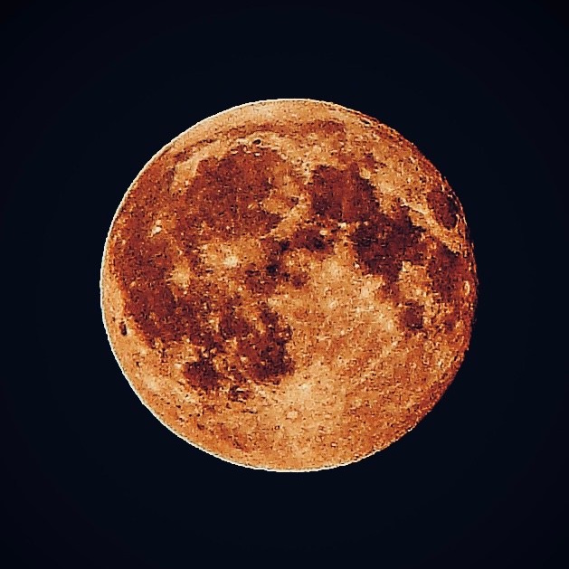 Съемка на старую мыльницу. Фотограф I Санкт-Петербург