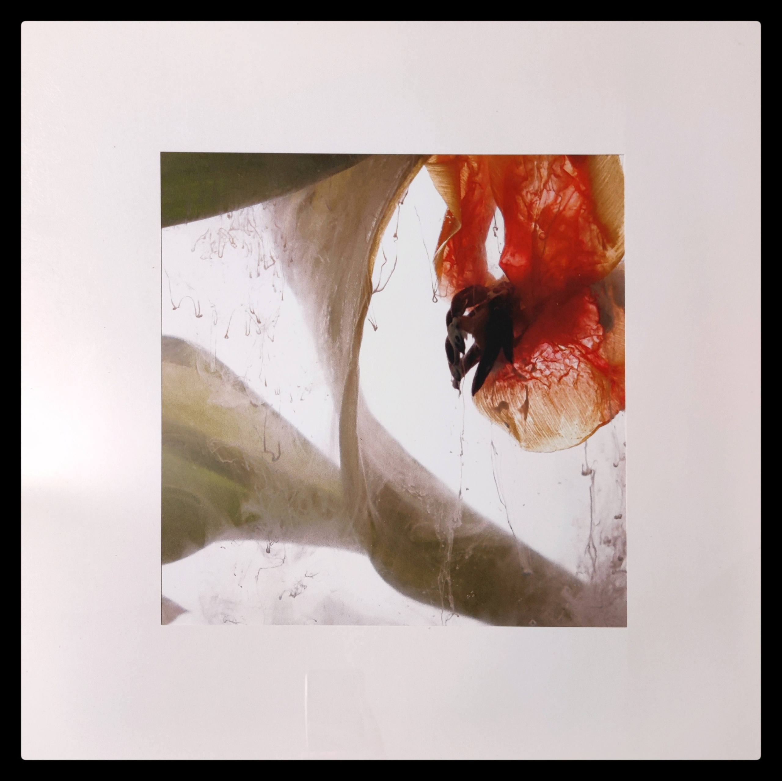 Отпечатки. Фотограф | Александр Очковский