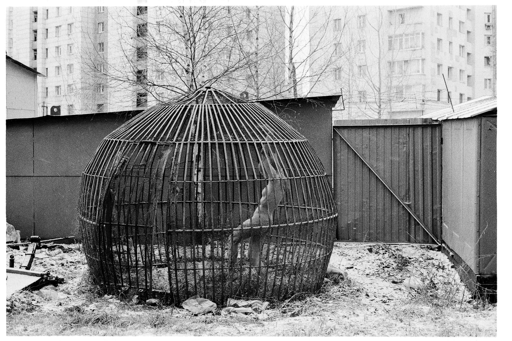 Виртуальная галерея