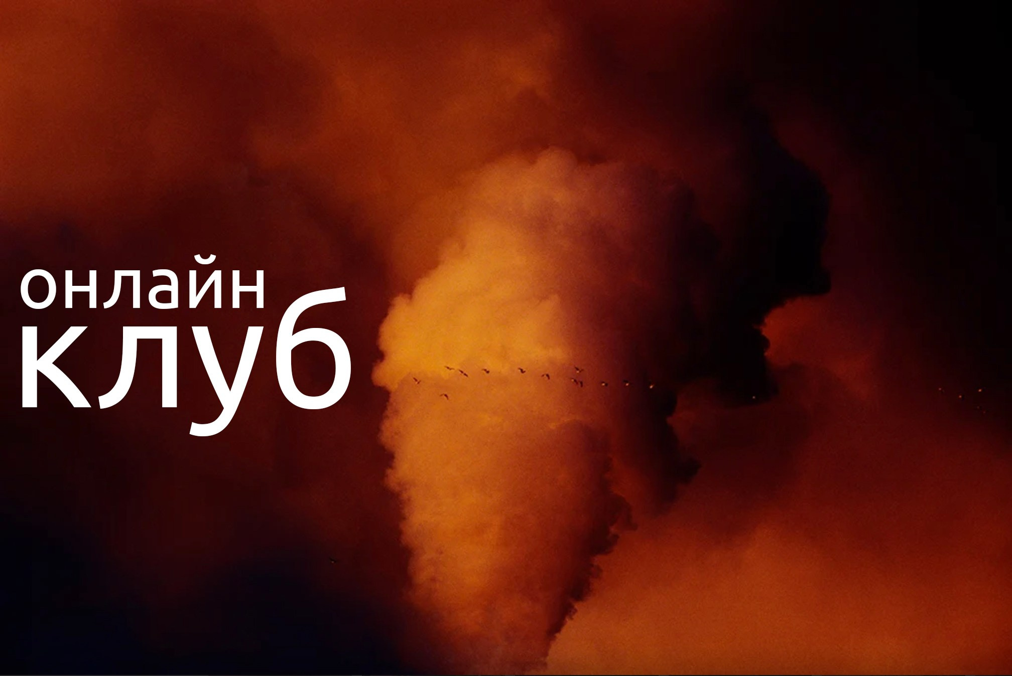 Делюсь. …