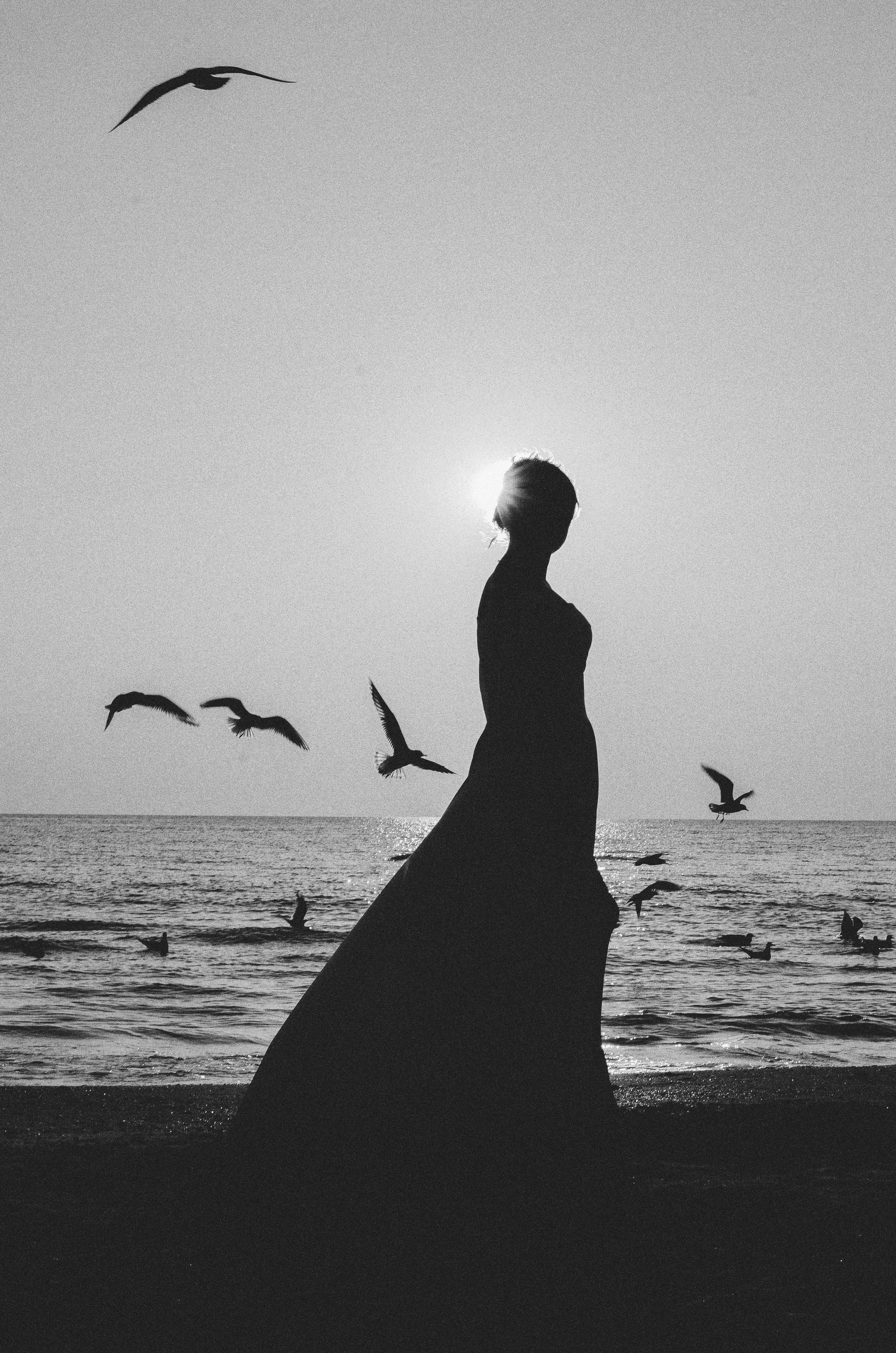 Захарова Олеся. Организация фотовыставок в Петербурге и Москве, MFamilia (МФамилия)