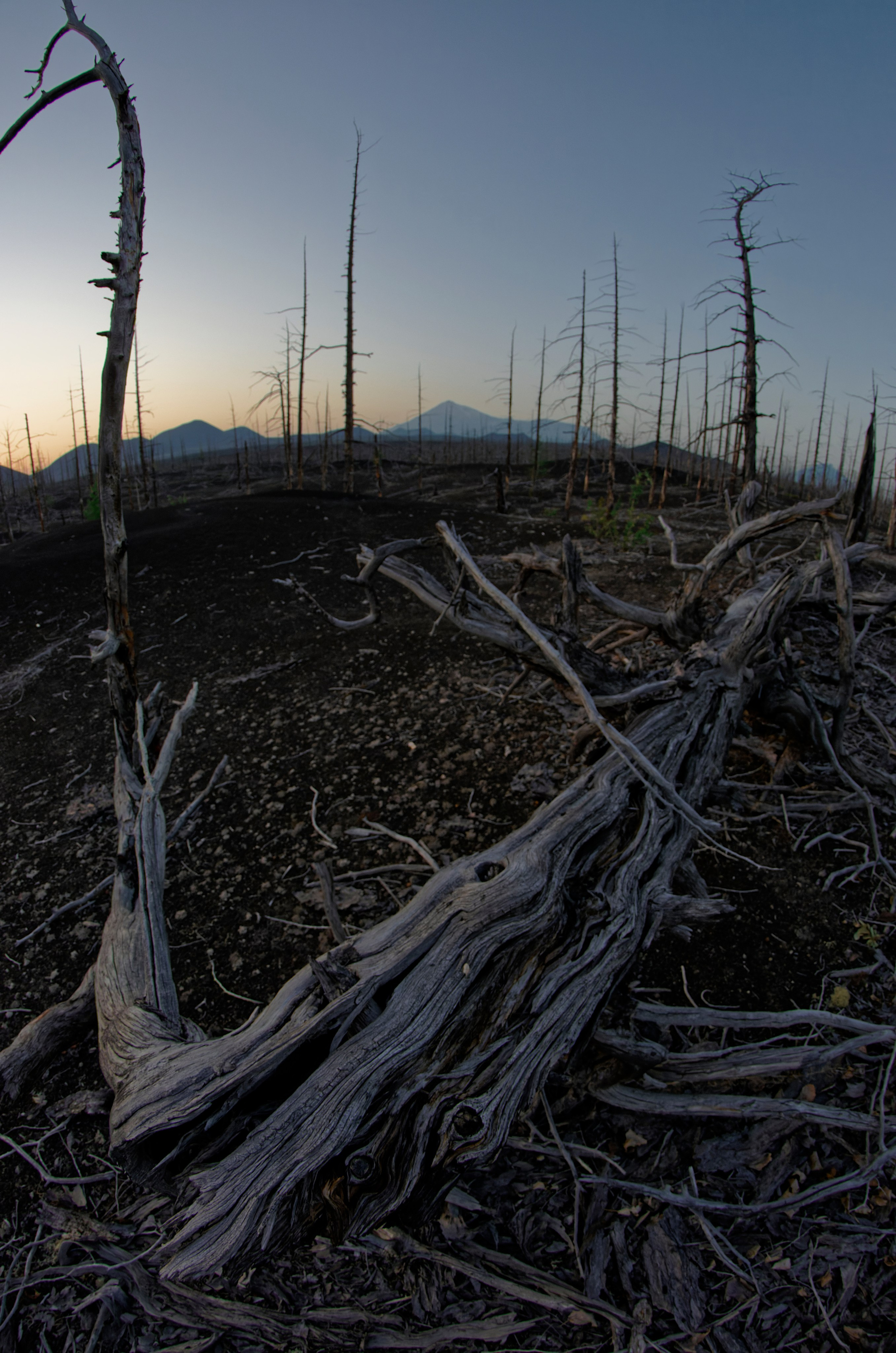 Камчатка. Фототрип. Тур?. Семоха Валерий. Фотограф