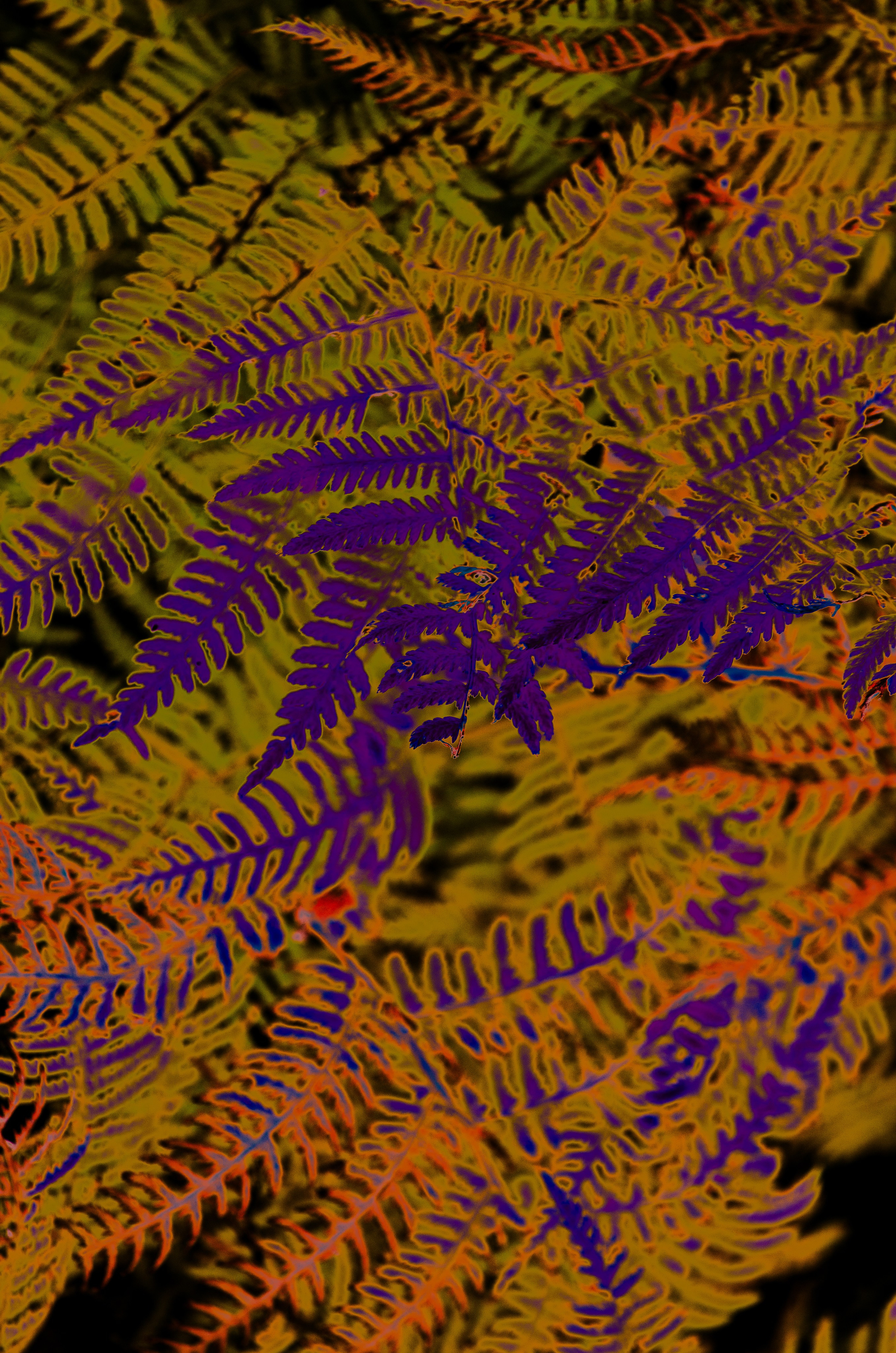 фото проект, фотограф, фотография, обложка для книги, обложка, цвет, цветная фотография, исследование цвета, современное искусство, искусство фотографии, художественная фотография, сюрреализм, art, artist, photo, photographer, photo project, art photography, cover, visual art, picture, color, surrealism