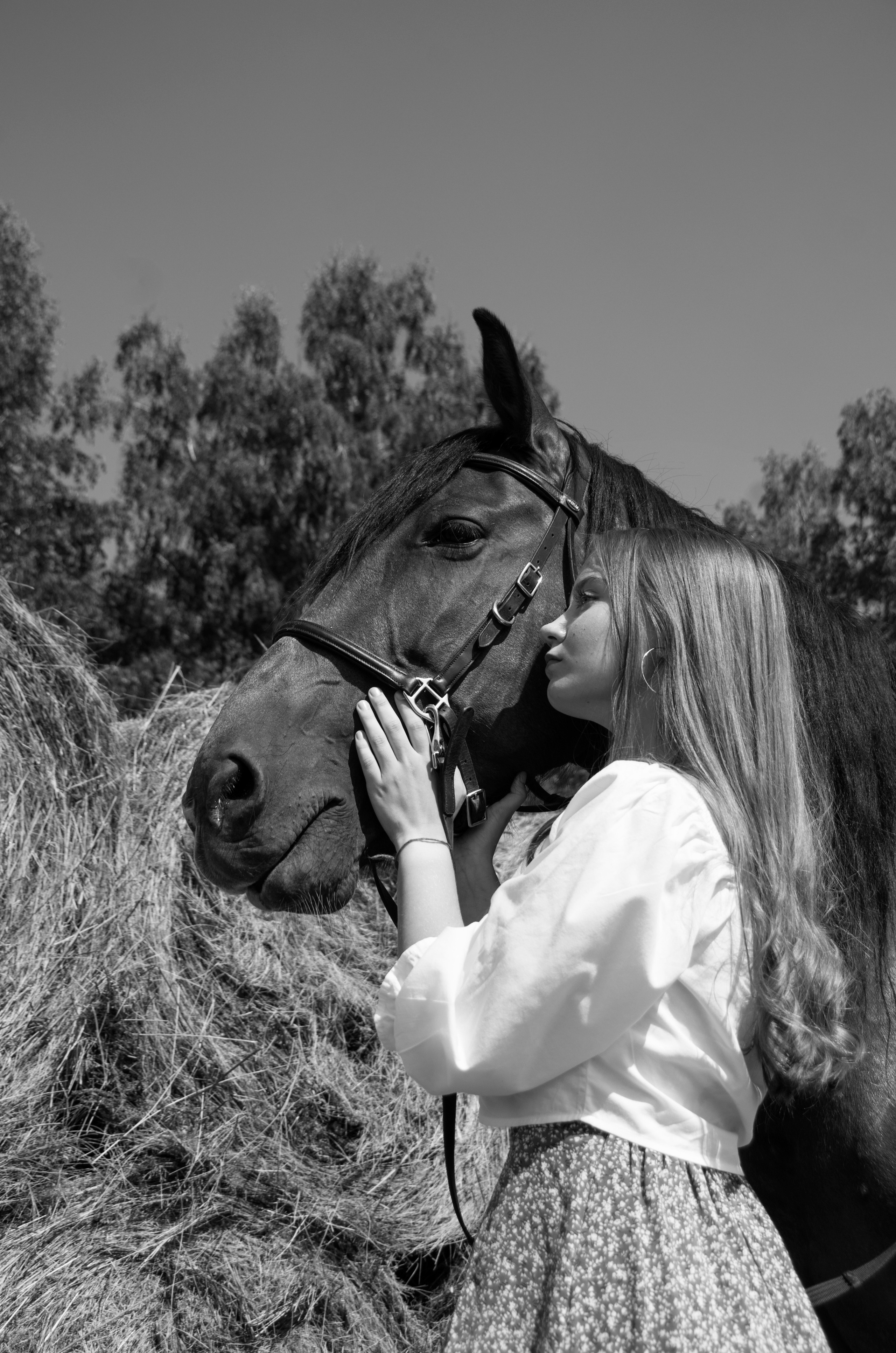 Контакты. Фотограф Марина Доглядная Челябинск фотосессии с лошадьми, мотоциклами