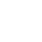 sfhsnow.wfolio.pro