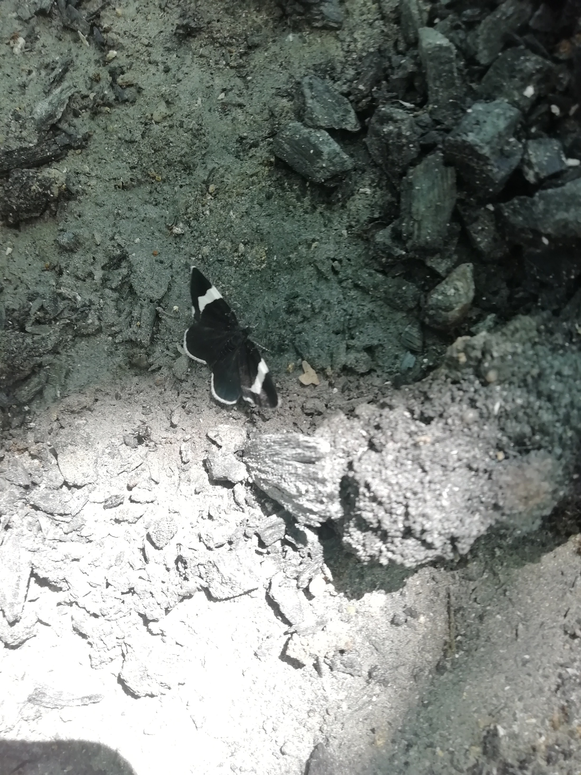 Локация № 1. Художник Рыбак Николай