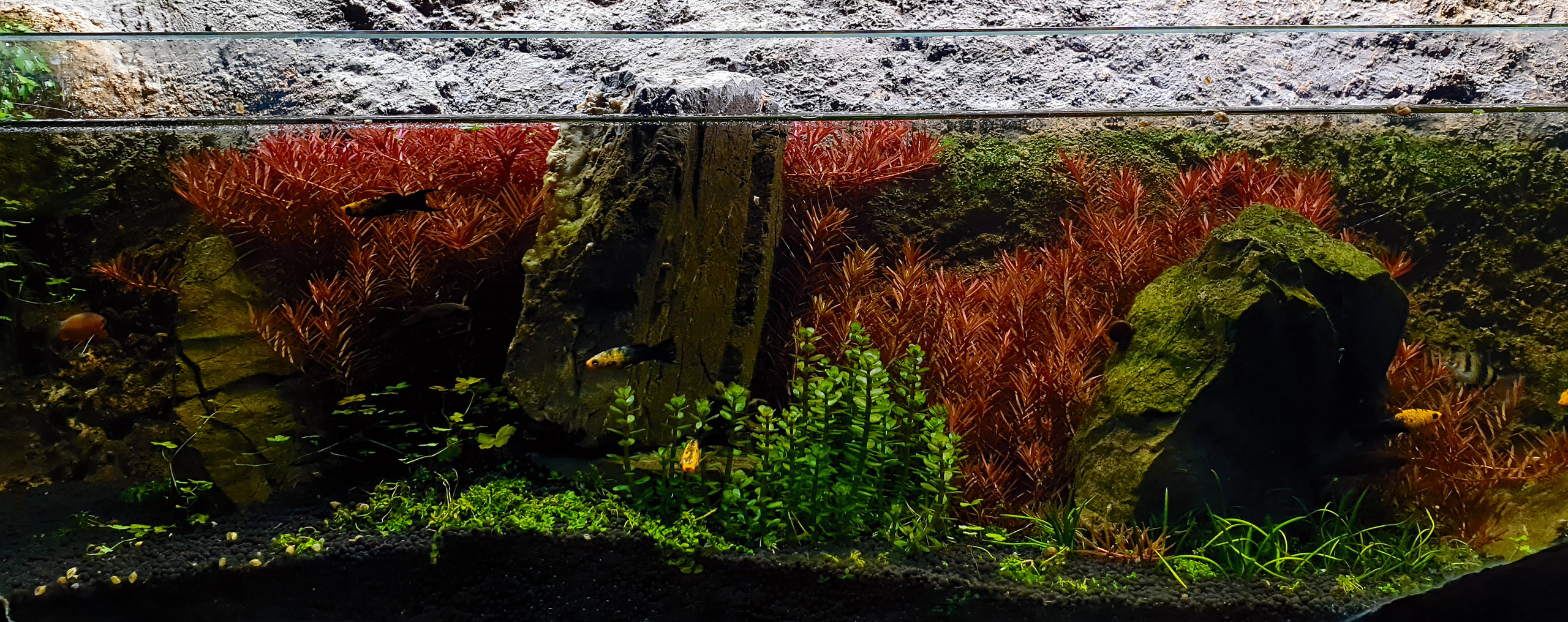 Опыт работы. Home