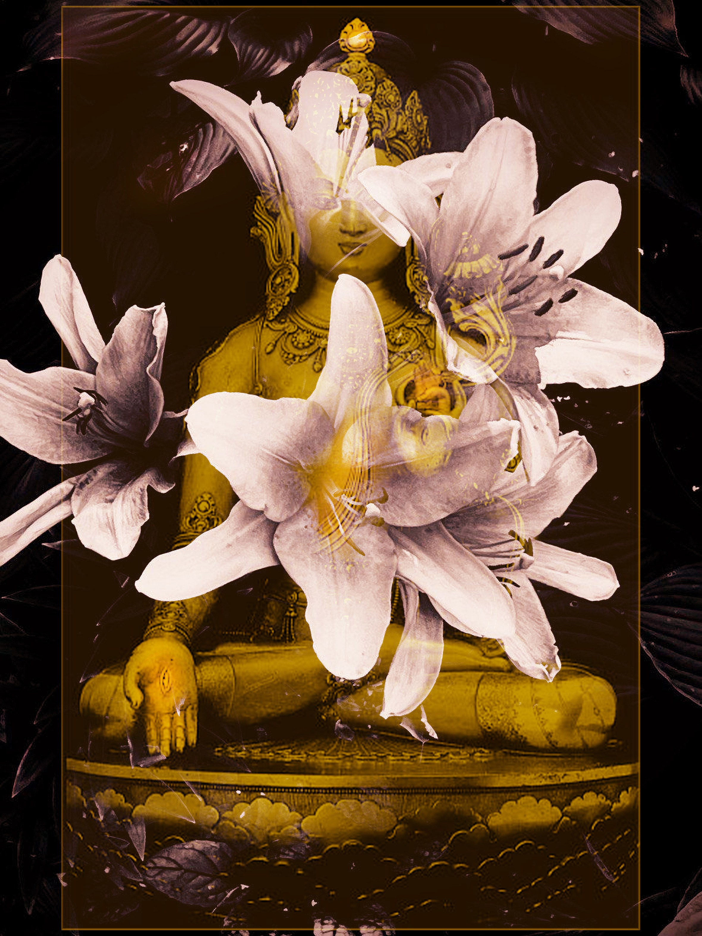 Галереи, выставки, арт-проекты. Visual artist, photographer Liana Darenskaya, Moscow