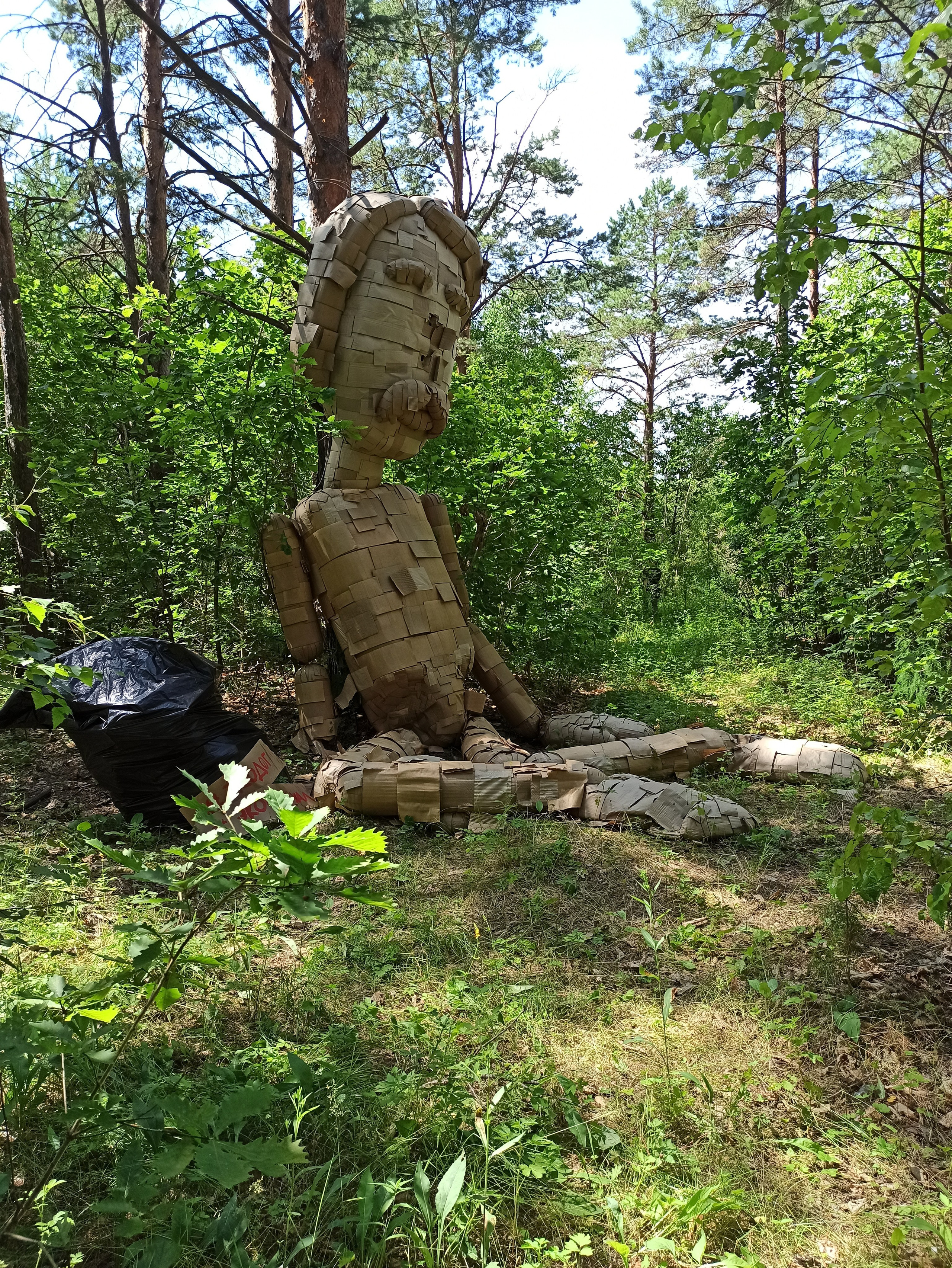 Осознанный землянин. Художник Рыбак Николай