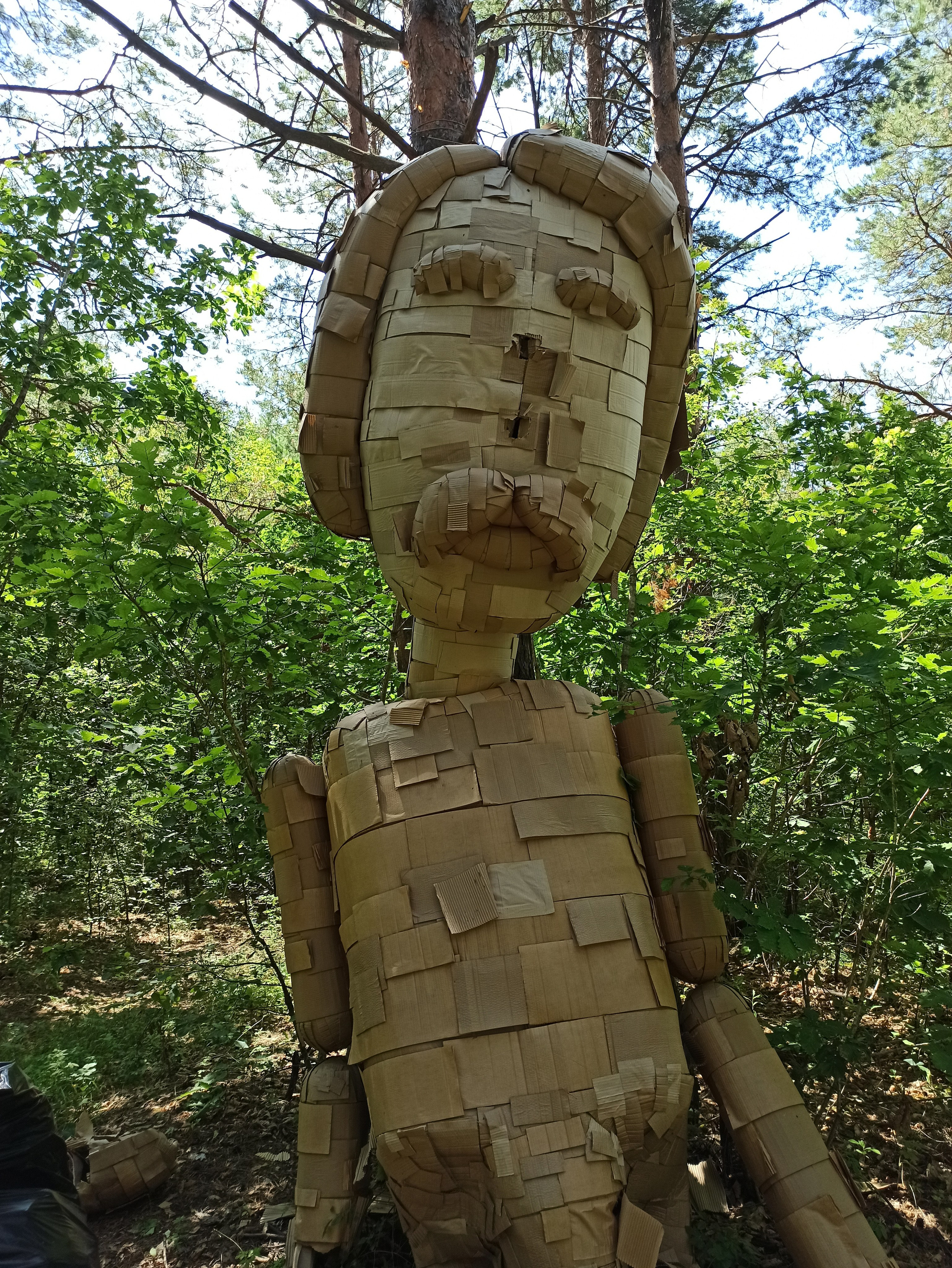 Осознанный землянин. Художник Рыбак Николай