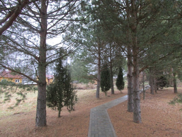 Ландшафт Шалово-парк Серебряные ключи