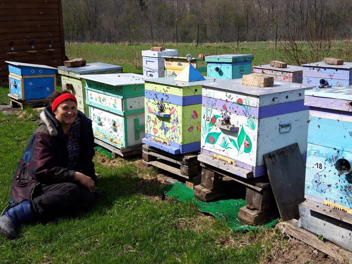 Пасека экофермы и работы на ней. Эко отдых в Подмосковье в эко-отеле Марии Гиппенрейтер