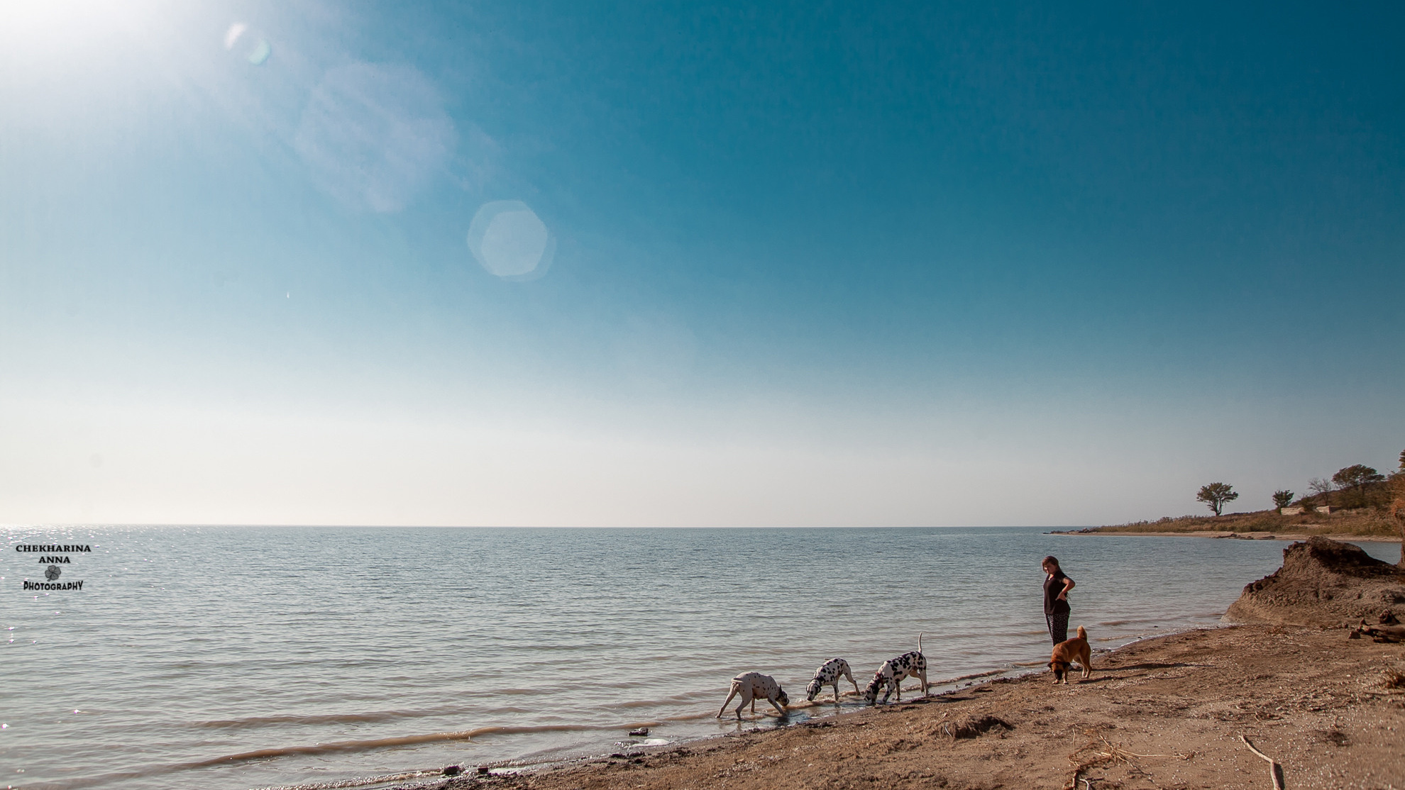 Профессиональный фотограф Чехарина Анна / pro photographer Chekharina
