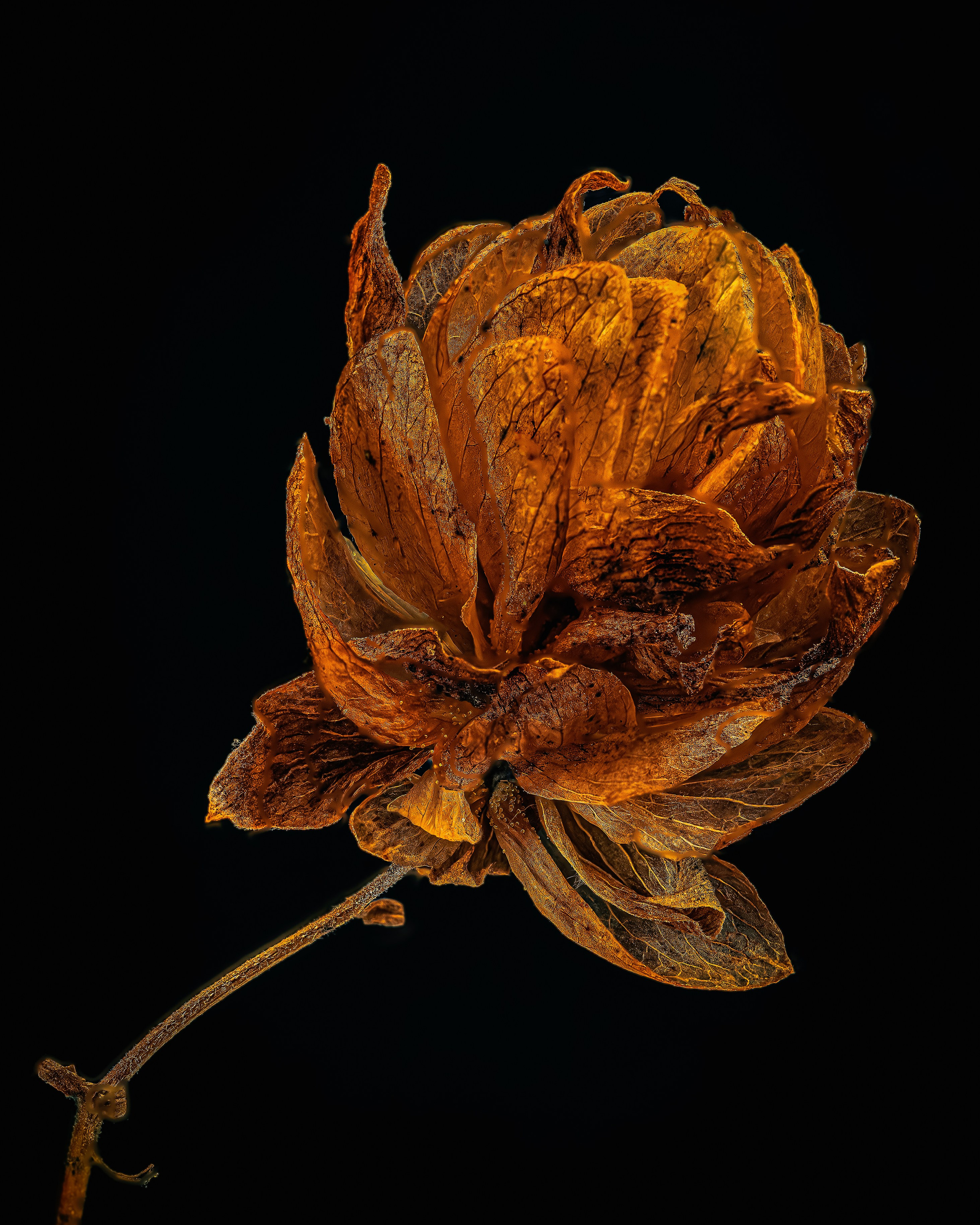 Цены. Предметный фотограф в Воронеже Дмитрий Игнатов