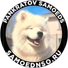 samoednso.ru