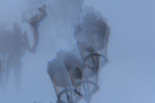CITIES. OLGA NEFF. Artist. Visual, Music, Poesy